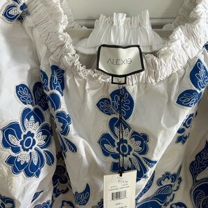 Alexis White Dress with Blue Floral Embroidery